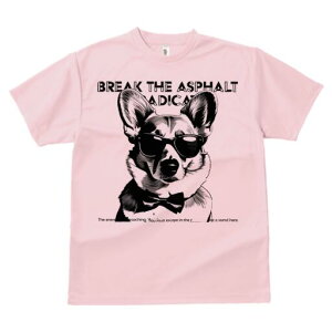 R[M[ TVc  j[NfUCfB[X t@  t vg lJWA 킢 lԗp Mtg I ҏ΍ TOX R[M[ lN^C