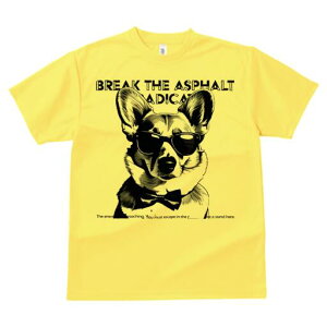 R[M[ TVc  j[NfUCfB[X t@  t vg lJWA 킢 lԗp Mtg I ҏ΍ TOX R[M[ lN^C