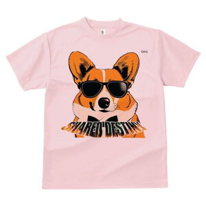 R[M[ TVc  j[NfUCfB[X t@  t vg lJWA 킢 lԗp Mtg I ҏ΍ TOX R[M[ lN^C