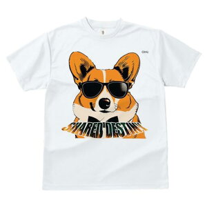 R[M[ TVc  j[NfUCfB[X t@  t vg lJWA 킢 lԗp Mtg I ҏ΍ TOX R[M[ lN^C