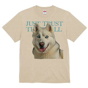 VxAnXL[ TVc  j[NfUCfB[X t@  t vg lJWA 킢 lԗp Mtg I ҏ΍ VxAnXL[