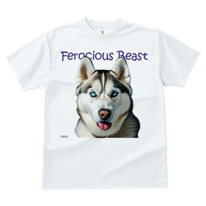 VxAnXL[ TVc  j[NfUCfB[X t@  t vg lJWA 킢 lԗp Mtg I ҏ΍ VxAnXL[