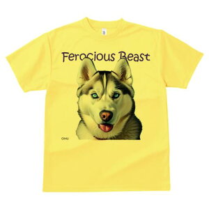 VxAnXL[ TVc  j[NfUCfB[X t@  t vg lJWA 킢 lԗp Mtg I ҏ΍ VxAnXL[