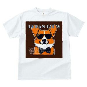 R[M[ TVc  j[NfUCfB[X t@  t vg lJWA 킢 lԗp Mtg I ҏ΍ TOX R[M[ lN^C