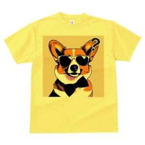 R[M[ TVc  j[NfUCfB[X t@  t vg lJWA 킢 lԗp Mtg I ҏ΍ TOX R[M[ lN^C NGX`}