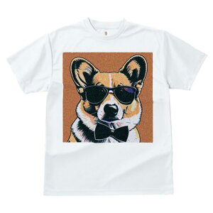 R[M[ TVc  j[NfUCfB[X t@  t vg lJWA 킢 lԗp Mtg I ҏ΍ TOX R[M[ lN^C