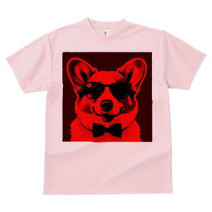 R[M[ TVc  j[NfUCY LbY t@  t vg lJWA 킢 lԗp Mtg I ҏ΍ TOX R[M[ lN^C