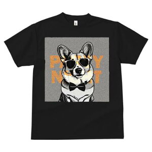 R[M[ TVc  j[NfUCfB[X t@  t vg lJWA 킢 lԗp Mtg I ҏ΍ TOX R[M[ lN^C