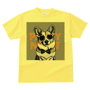 R[M[ TVc  j[NfUCfB[X t@  t vg lJWA 킢 lԗp Mtg I ҏ΍ TOX R[M[ lN^C