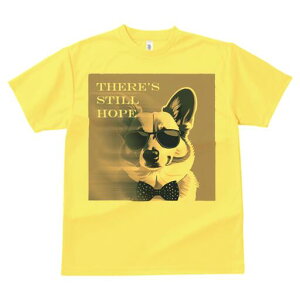 R[M[ TVc  j[NfUCfB[X t@  t vg lJWA 킢 lԗp Mtg I ҏ΍ TOX R[M[ lN^C