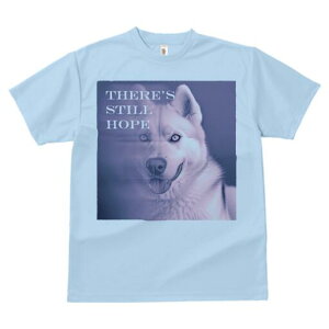 nXL[ TVc  j[NfUCfB[X t@  t vg lJWA 킢 lԗp Mtg I ҏ΍ nXL[