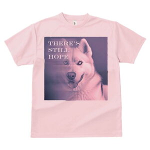 nXL[ TVc  j[NfUCfB[X t@  t vg lJWA 킢 lԗp Mtg I ҏ΍ nXL[