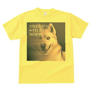 nXL[ TVc  j[NfUCfB[X t@  t vg lJWA 킢 lԗp Mtg I ҏ΍ nXL[