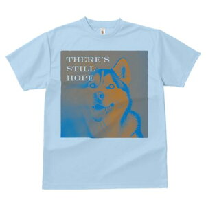 nXL[ TVc  j[NfUCfB[X t@  t vg lJWA 킢 lԗp Mtg I ҏ΍ nXL[