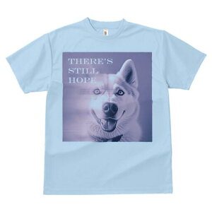 nXL[ TVc  j[NfUCfB[X t@  t vg lJWA 킢 lԗp Mtg I ҏ΍ nXL[