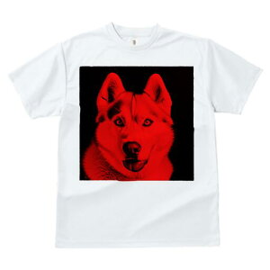 nXL[ TVc  j[NfUCfB[X t@  t vg lJWA 킢 lԗp Mtg I ҏ΍ nXL[