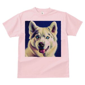 nXL[ TVc  j[NfUCfB[X t@  t vg lJWA 킢 lԗp Mtg I ҏ΍ nXL[