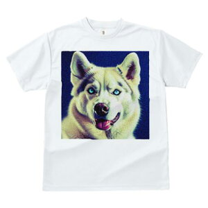 nXL[ TVc  j[NfUCfB[X t@  t vg lJWA 킢 lԗp Mtg I ҏ΍ nXL[