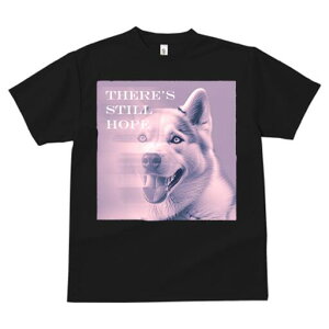 nXL[ TVc  j[NfUCfB[X t@  t vg lJWA 킢 lԗp Mtg I ҏ΍ nXL[