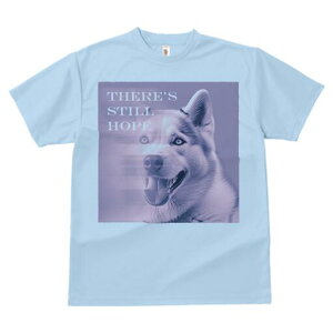 nXL[ TVc  j[NfUCfB[X t@  t vg lJWA 킢 lԗp Mtg I ҏ΍ nXL[