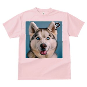 nXL[ TVc  j[NfUCfB[X t@  t vg lJWA 킢 lԗp Mtg I ҏ΍ ^╄ nXL[