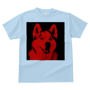 VxAnXL[ TVc  j[NfUCfB[X t@  t vg lJWA 킢 lԗp Mtg I ҏ΍ VxAnXL[