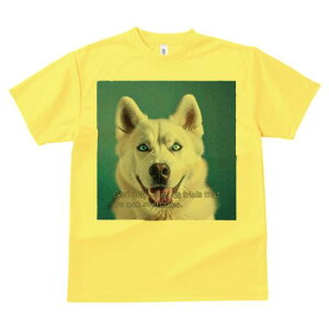 nXL[ TVc  j[NfUCfB[X t@  t vg lJWA 킢 lԗp Mtg I ҏ΍ nXL[