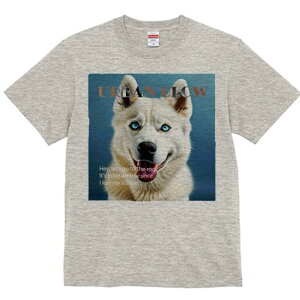 nXL[ TVc  j[NfUCfB[X t@  t vg lJWA 킢 lԗp Mtg I ҏ΍ Ȃ nXL[