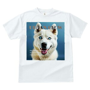 nXL[ TVc  j[NfUCfB[X t@  t vg lJWA 킢 lԗp Mtg I ҏ΍ Ȃ nXL[