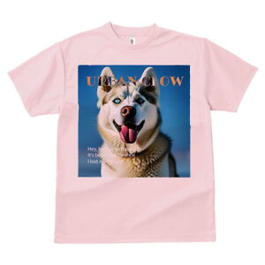 VxAnXL[ TVc  j[NfUCfB[X t@  t vg lJWA 킢 lԗp Mtg I ҏ΍ VxAnXL[