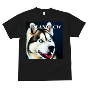 VxAnXL[ TVc  j[NfUCfB[X t@  t vg lJWA 킢 lԗp Mtg I ҏ΍ VxAnXL[