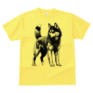 VxAnXL[ TVc  j[NfUCfB[X t@  t vg lJWA 킢 lԗp Mtg I ҏ΍ n[lX VxAnXL[ mN