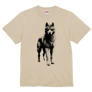 nXL[ TVc  j[NfUCfB[X t@  t vg lJWA 킢 lԗp Mtg I ҏ΍ nXL[