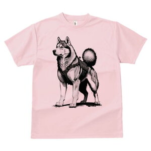 AXJ}~[g TVc  j[NfUCfB[X t@  t vg lJWA 킢 lԗp Mtg I ҏ΍ n[lX AXJ}~[g