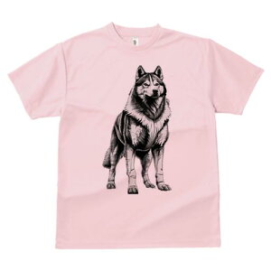 nXL[ TVc  j[NfUCfB[X t@  t vg lJWA 킢 lԗp Mtg I ҏ΍ nXL[