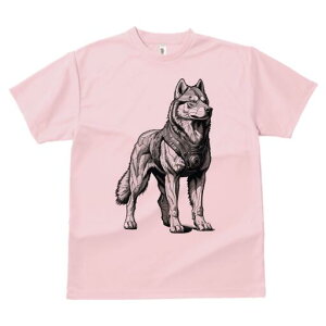 nXL[ TVc  j[NfUCfB[X t@  t vg lJWA 킢 lԗp Mtg I ҏ΍ TCo[pN nXL[ {bg 