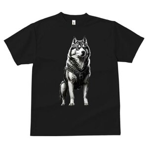 nXL[ TVc  j[NfUCfB[X t@  t vg lJWA 킢 lԗp Mtg I ҏ΍  nXL[ ybg  n[lX