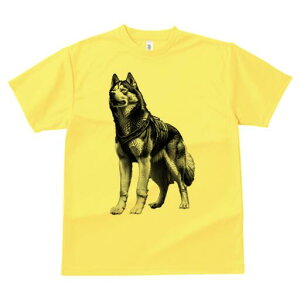 AXJ}~[g TVc  j[NfUCfB[X t@  t vg lJWA 킢 lԗp Mtg I ҏ΍ n[lX AXJ}~[g