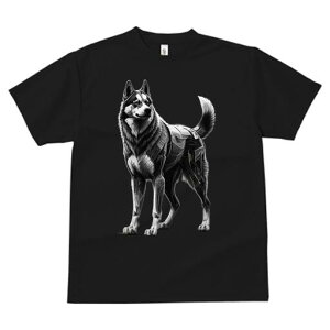 nXL[ TVc  j[NfUCfB[X t@  t vg lJWA 킢 lԗp Mtg I ҏ΍ JjJ nXL[ A[g