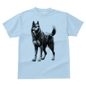 nXL[ TVc  j[NfUCfB[X t@  t vg lJWA 킢 lԗp Mtg I ҏ΍ JjJ nXL[ A[g