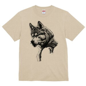 nXL[ TVc  j[NfUCfB[X t@  t vg lJWA 킢 lԗp Mtg I ҏ΍ TCo[pN nXL[  J eNmW[