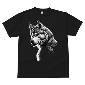 nXL[ TVc  j[NfUCfB[X t@  t vg lJWA 킢 lԗp Mtg I ҏ΍ TCo[pN nXL[  J eNmW[