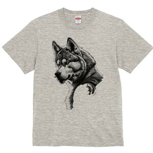 nXL[ TVc  j[NfUCfB[X t@  t vg lJWA 킢 lԗp Mtg I ҏ΍ TCo[pN nXL[  J eNmW[