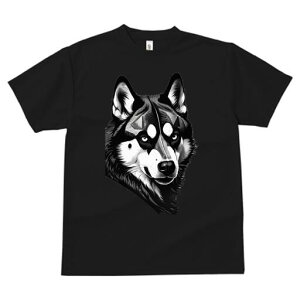 nXL[ TVc  j[NfUCfB[X t@  t vg lJWA 킢 lԗp Mtg I ҏ΍ nXL[