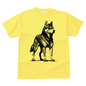 nXL[ TVc  j[NfUCfB[X t@  t vg lJWA 킢 lԗp Mtg I ҏ΍ nXL[