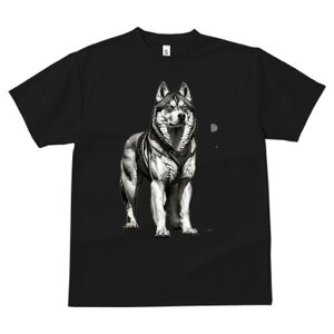 VxAnXL[ TVc  j[NfUCfB[X t@  t vg lJWA 킢 lԗp Mtg I ҏ΍ VxAnXL[