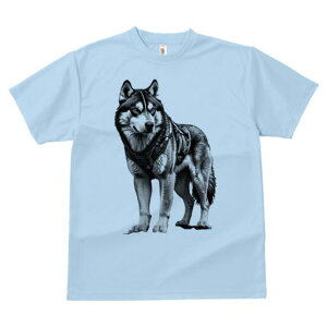 nXL[ TVc  j[NfUCfB[X t@  t vg lJWA 킢 lԗp Mtg I ҏ΍ n[lX nXL[