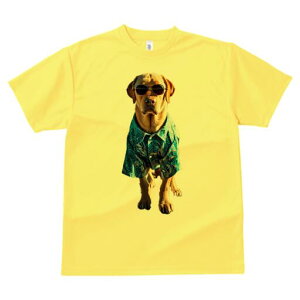 uh[go[ TVc  j[NfUCfB[X t@  t vg lJWA 킢 lԗp Mtg I ҏ΍ AnVc uh[g