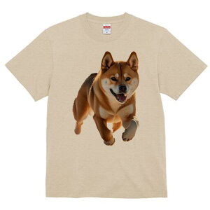 Č TVc  j[NfUCfB[X t@  t vg lJWA 킢 lԗp Mtg I ҏ΍ Č