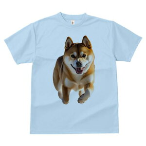 Č TVc  j[NfUCfB[X t@  t vg lJWA 킢 lԗp Mtg I ҏ΍ Č